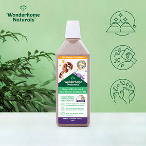 NATURAL PET URINE STAIN & ODOR BUSTER CONCENTRATE 700ML Fresh Lavender Breeze - image