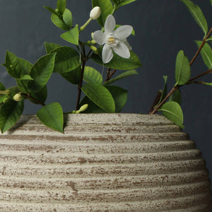Etta Clay Vase - image