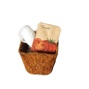Tomato Seed Solo Kit - image