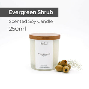 Evergreen Shrub Scented Soy Candle (250 ml) by Lumi Candles PH - image