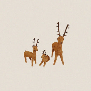 Native Reindeer - image